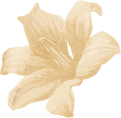 Anahiz